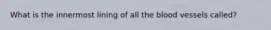 What is the innermost lining of all the blood vessels called?