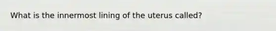 What is the innermost lining of the uterus called?