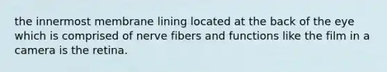 the innermost membrane lining located at the back of the eye which is comprised of nerve fibers and functions like the film in a camera is the retina.