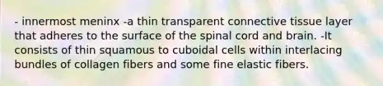 - innermost meninx -a thin transparent connective tissue layer that adheres to the surface of the spinal cord and brain. -It consists of thin squamous to cuboidal cells within interlacing bundles of collagen fibers and some fine elastic fibers.