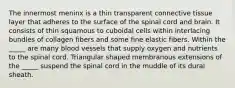 The innermost meninx is a thin transparent connective tissue layer that adheres to the surface of the spinal cord and brain. It consists of thin squamous to cuboidal cells within interlacing bundles of collagen fibers and some fine elastic fibers. Within the _____ are many blood vessels that supply oxygen and nutrients to the spinal cord. Triangular shaped membranous extensions of the _____ suspend the spinal cord in the muddle of its dural sheath.