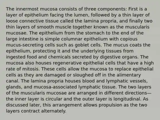 The innermost mucosa consists of three components: First is a layer of epithelium facing the lumen, followed by a thin layer of loose connective tissue called the lamina propria, and finally two thin layers of smooth muscle together known as the muscularis mucosae. The epithelium from the stomach to the end of the large intestine is simple columnar epithelium with copious mucus-secreting cells such as goblet cells. The mucus coats the epithelium, protecting it and the underlying tissues from ingested food and chemicals secreted by digestive organs. The mucosa also houses regenerative epithelial cells that have a high rate of mitosis. These cells allow the mucosa to replace epithelial cells as they are damaged or sloughed off in the alimentary canal. The lamina propria houses blood and lymphatic vessels, glands, and mucosa-associated lymphatic tissue. The two layers of the muscularis mucosae are arranged in different directions—the inner layer is circular and the outer layer is longitudinal. As discussed later, this arrangement allows propulsion as the two layers contract alternately.