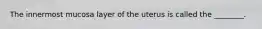 The innermost mucosa layer of the uterus is called the ________.