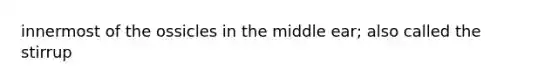 innermost of the ossicles in the middle ear; also called the stirrup