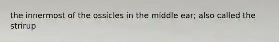 the innermost of the ossicles in the middle ear; also called the strirup