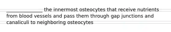 _______________ the innermost osteocytes that receive nutrients from blood vessels and pass them through gap junctions and canaliculi to neighboring osteocytes