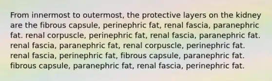 From innermost to outermost, the protective layers on the kidney are the fibrous capsule, perinephric fat, renal fascia, paranephric fat. renal corpuscle, perinephric fat, renal fascia, paranephric fat. renal fascia, paranephric fat, renal corpuscle, perinephric fat. renal fascia, perinephric fat, fibrous capsule, paranephric fat. fibrous capsule, paranephric fat, renal fascia, perinephric fat.