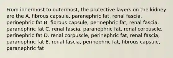 From innermost to outermost, the protective layers on the kidney are the A. fibrous capsule, paranephric fat, renal fascia, perinephric fat B. fibrous capsule, perinephric fat, renal fascia, paranephric fat C. renal fascia, paranephric fat, renal corpuscle, perinephric fat D. renal corpuscle, perinephric fat, renal fascia, paranephric fat E. renal fascia, perinephric fat, fibrous capsule, paranephric fat