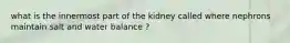 what is the innermost part of the kidney called where nephrons maintain salt and water balance ?