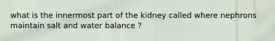 what is the innermost part of the kidney called where nephrons maintain salt and water balance ?