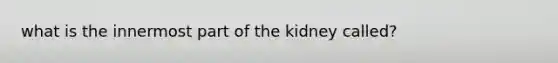 what is the innermost part of the kidney called?