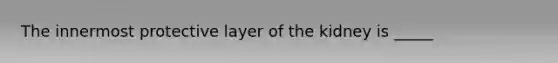 The innermost protective layer of the kidney is _____