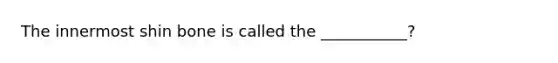 The innermost shin bone is called the ___________?