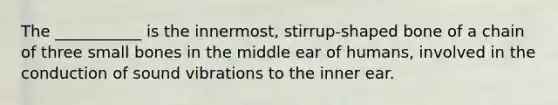 The ___________ is the innermost, stirrup-shaped bone of a chain of three small bones in the middle ear of humans, involved in the conduction of sound vibrations to the inner ear.