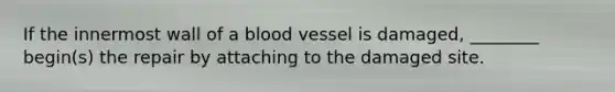 If the innermost wall of a blood vessel is damaged, ________ begin(s) the repair by attaching to the damaged site.