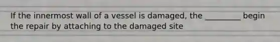 If the innermost wall of a vessel is damaged, the _________ begin the repair by attaching to the damaged site