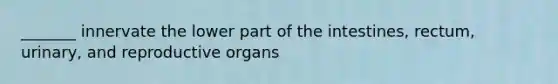 _______ innervate the lower part of the intestines, rectum, urinary, and reproductive organs