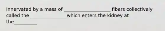 Innervated by a mass of ____________________ fibers collectively called the _______________ which enters the kidney at the__________