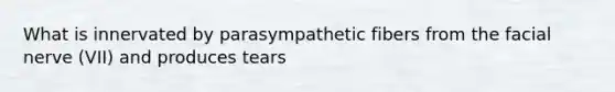 What is innervated by parasympathetic fibers from the facial nerve (VII) and produces tears