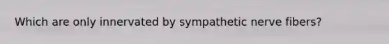 Which are only innervated by sympathetic nerve fibers?