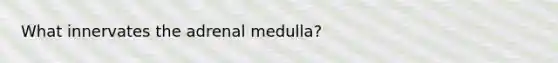 What innervates the adrenal medulla?