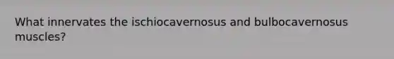 What innervates the ischiocavernosus and bulbocavernosus muscles?