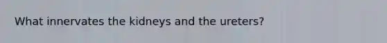 What innervates the kidneys and the ureters?