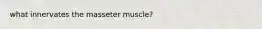 what innervates the masseter muscle?