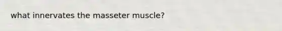 what innervates the masseter muscle?