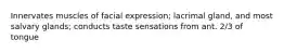 Innervates muscles of facial expression; lacrimal gland, and most salvary glands; conducts taste sensations from ant. 2/3 of tongue