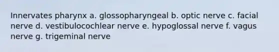 Innervates pharynx a. glossopharyngeal b. optic nerve c. facial nerve d. vestibulocochlear nerve e. hypoglossal nerve f. vagus nerve g. trigeminal nerve