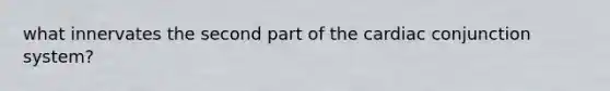 what innervates the second part of the cardiac conjunction system?