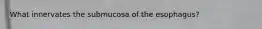 What innervates the submucosa of the esophagus?