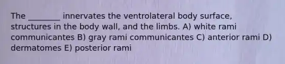 The ________ innervates the ventrolateral body surface, structures in the body wall, and the limbs. A) white rami communicantes B) gray rami communicantes C) anterior rami D) dermatomes E) posterior rami