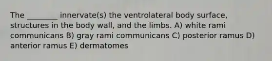 The ________ innervate(s) the ventrolateral body surface, structures in the body wall, and the limbs. A) white rami communicans B) gray rami communicans C) posterior ramus D) anterior ramus E) dermatomes