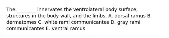 The ________ innervates the ventrolateral body surface, structures in the body wall, and the limbs. A. dorsal ramus B. dermatomes C. white rami communicantes D. gray rami communicantes E. ventral ramus