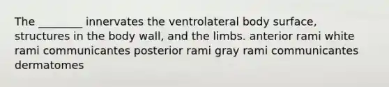 The ________ innervates the ventrolateral body surface, structures in the body wall, and the limbs. anterior rami white rami communicantes posterior rami gray rami communicantes dermatomes