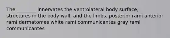 The ________ innervates the ventrolateral body surface, structures in the body wall, and the limbs. posterior rami anterior rami dermatomes white rami communicantes gray rami communicantes