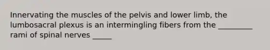 Innervating the muscles of the pelvis and lower limb, the lumbosacral plexus is an intermingling fibers from the _________ rami of spinal nerves _____