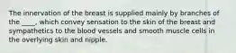 The innervation of the breast is supplied mainly by branches of the ____, which convey sensation to the skin of the breast and sympathetics to the blood vessels and smooth muscle cells in the overlying skin and nipple.