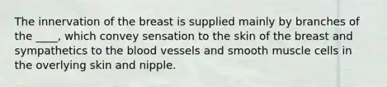 The innervation of the breast is supplied mainly by branches of the ____, which convey sensation to the skin of the breast and sympathetics to the blood vessels and smooth muscle cells in the overlying skin and nipple.