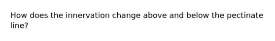 How does the innervation change above and below the pectinate line?
