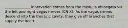 ______________ innervation comes from the medulla oblongata via the left and right vagus nerves (CN X). As the vagus nerves descend into the thoracic cavity, they give off branches that supply the heart.