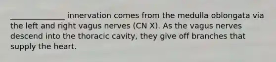 ______________ innervation comes from the medulla oblongata via the left and right vagus nerves (CN X). As the vagus nerves descend into the thoracic cavity, they give off branches that supply the heart.