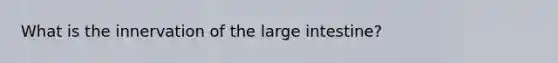What is the innervation of the large intestine?
