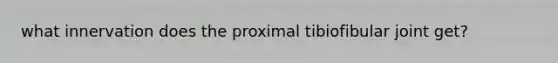 what innervation does the proximal tibiofibular joint get?