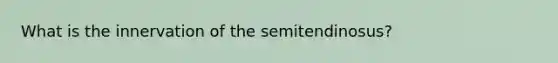 What is the innervation of the semitendinosus?