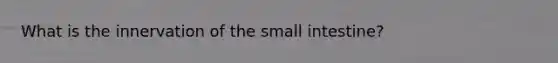 What is the innervation of <a href='https://www.questionai.com/knowledge/kt623fh5xn-the-small-intestine' class='anchor-knowledge'>the small intestine</a>?