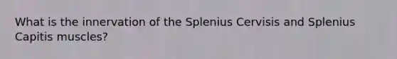 What is the innervation of the Splenius Cervisis and Splenius Capitis muscles?