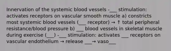 Innervation of the systemic blood vessels -___ stimulation: activates receptors on vascular smooth muscle a) constricts most systemic blood vessels (___ receptor) → ↑ total peripheral resistance/blood pressure b) ___ blood vessels in skeletal muscle during exercise (___) -___ stimulation: activates ___ receptors on vascular endothelium → release ___→ vaso___